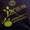 Zlaté utkání kadetek - přebornice kraje Vysočina 2015/2016 (117 / 119)