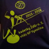 Zlaté utkání kadetek - přebornice kraje Vysočina 2015/2016 (117 / 119)